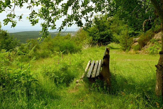 运动开辟了 运动开辟了