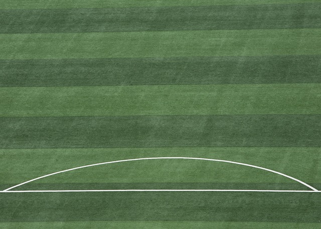 为广大的球 为广大的球