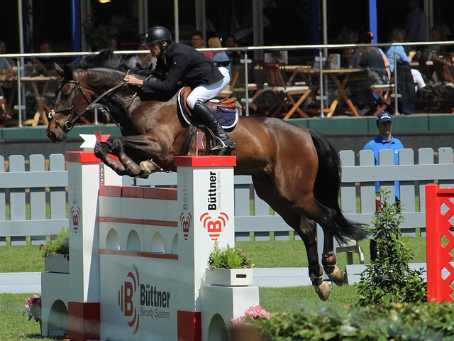 也能够以此 也能够以此