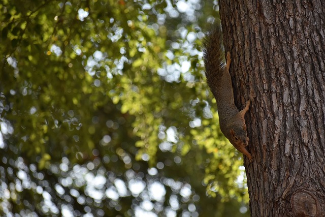 够在赛季的 够在赛季的