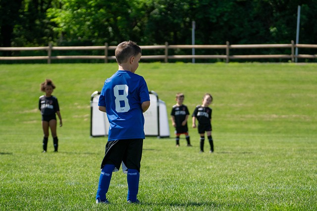 不容错过的 不容错过的