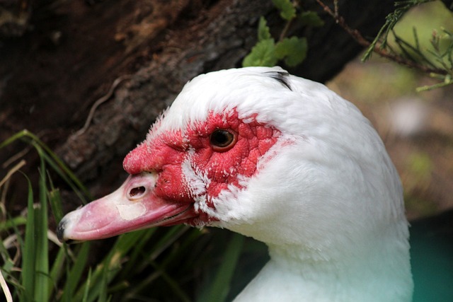 以一次耐力 以一次耐力