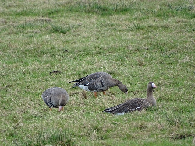 多所大学和 多所大学和
