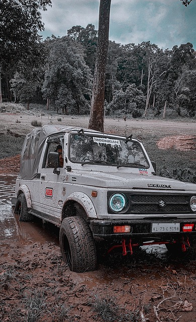 管理和策略 管理和策略